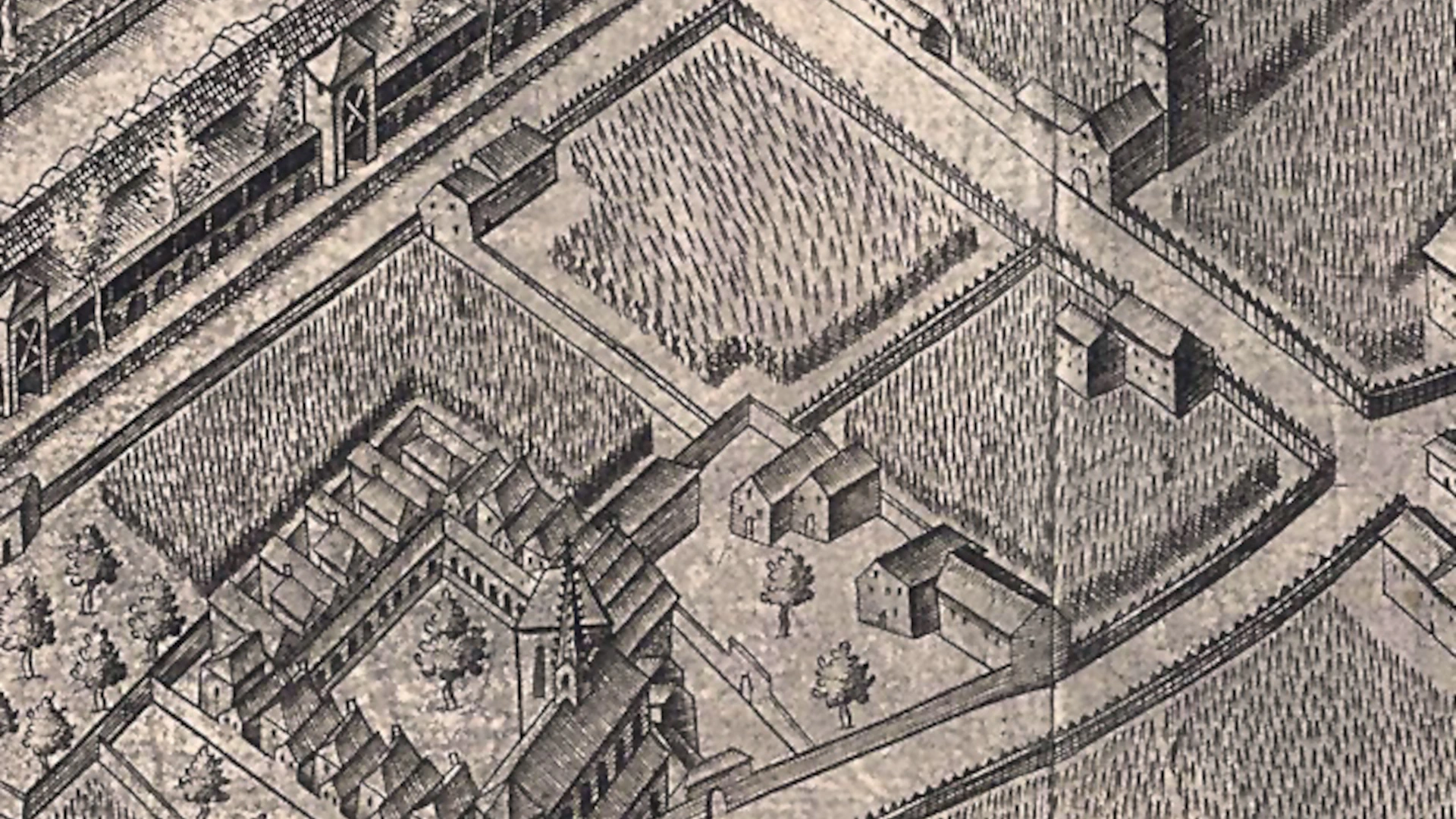 Weingärten der Kartäuser 1571