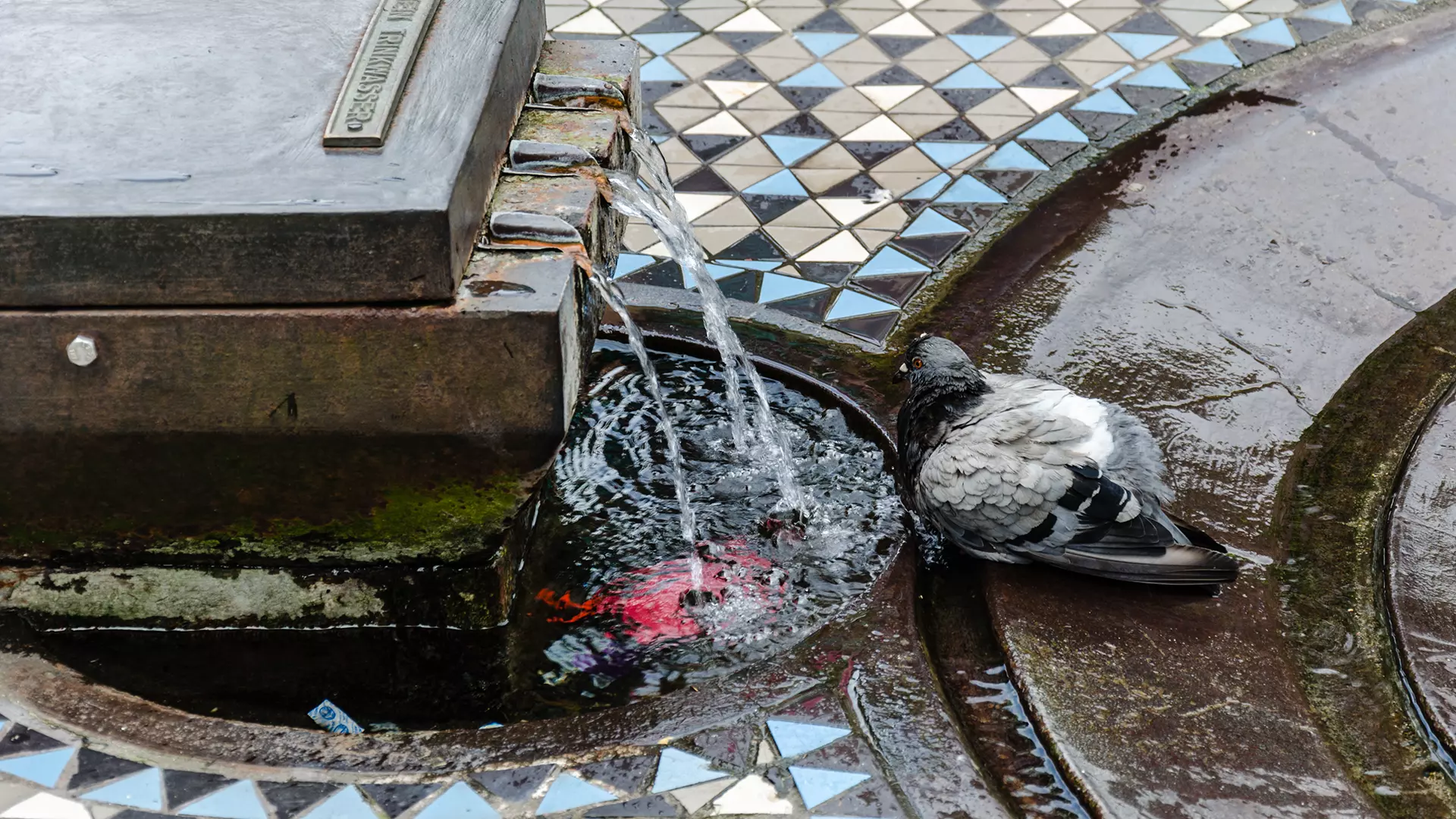 Taubenbrunnen